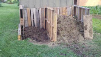 Composting 101: Benefits, Tips, and How to Build a Compost Bin