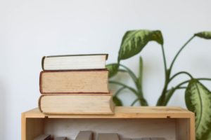 stack of books on a shelf with a plant next to it