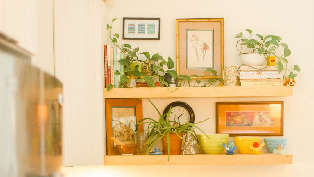 wooden shelf with plants, books, and other items