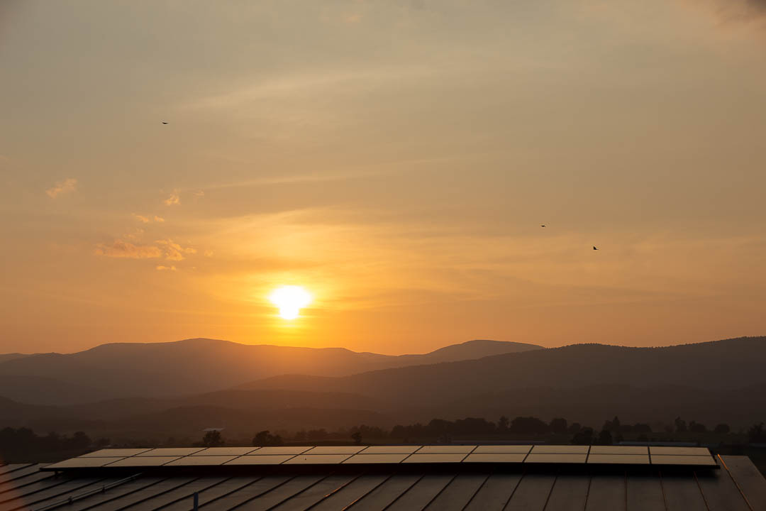 sunsetting and birds flying over roof solar panels of Casa Cielo