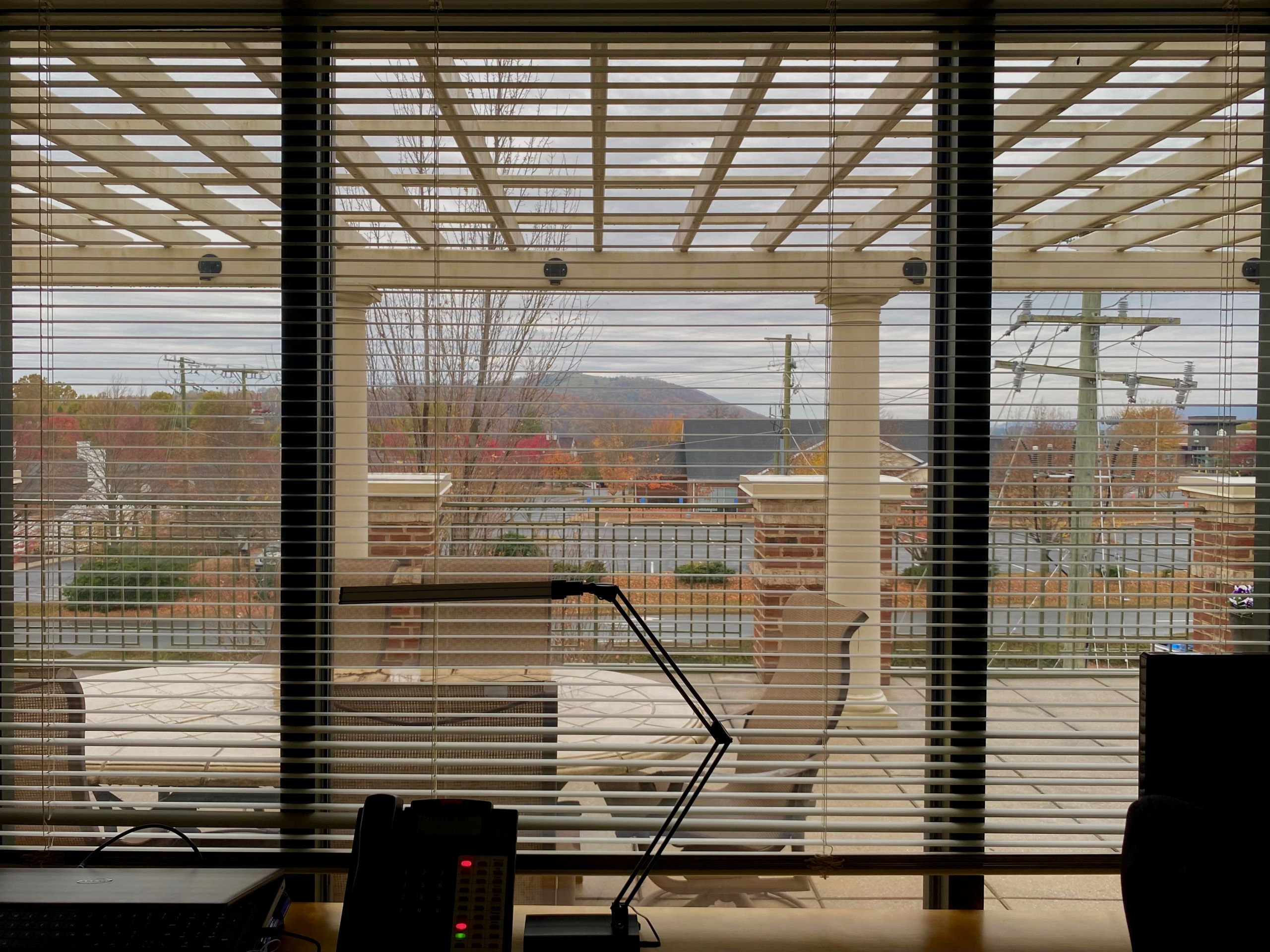 View through office window at Luxor, our Charlottesville office location.