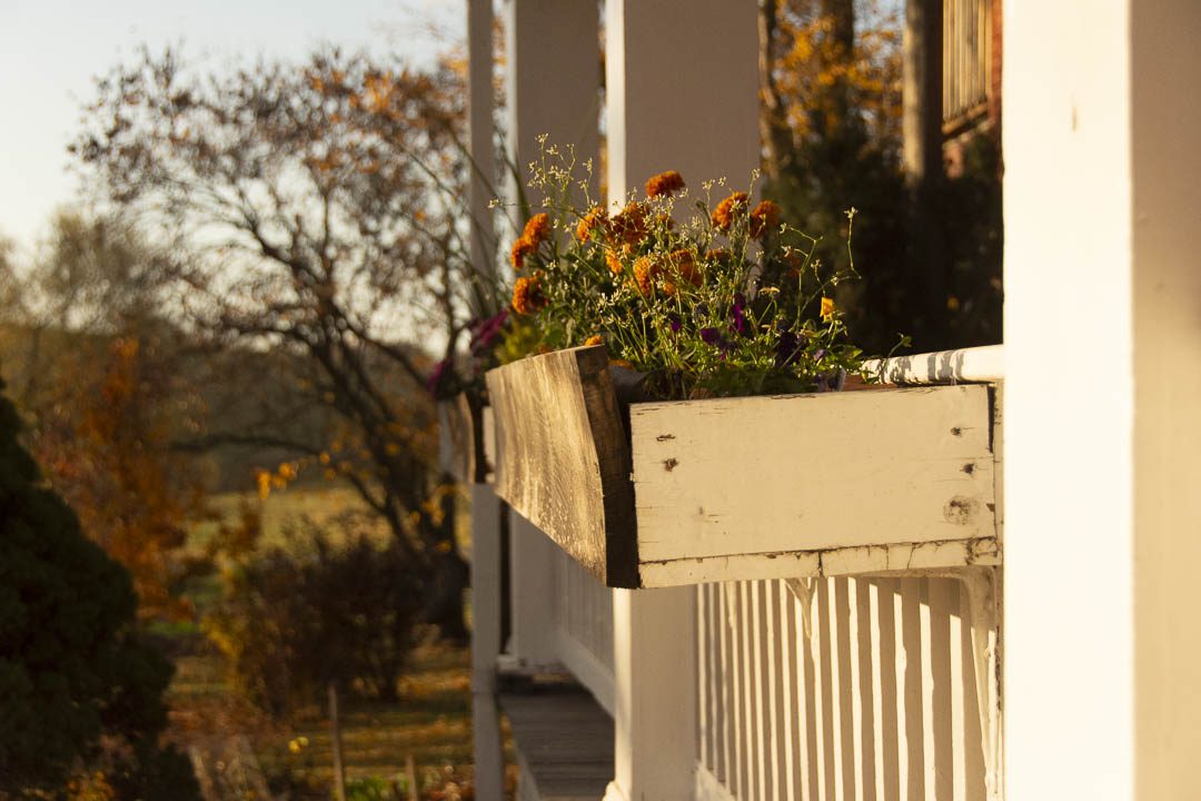 Flower container attached to porch railing.